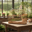 Gaiola Voadeira Trinca Ferro Pássaro Preto Sabia Currupião