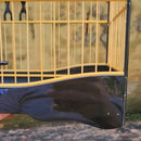 Gaiola de luxo Marrom exclusiva