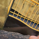 Gaiola de luxo Marrom exclusiva